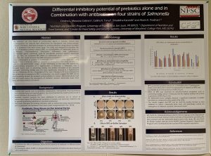 Photo of Research poster
