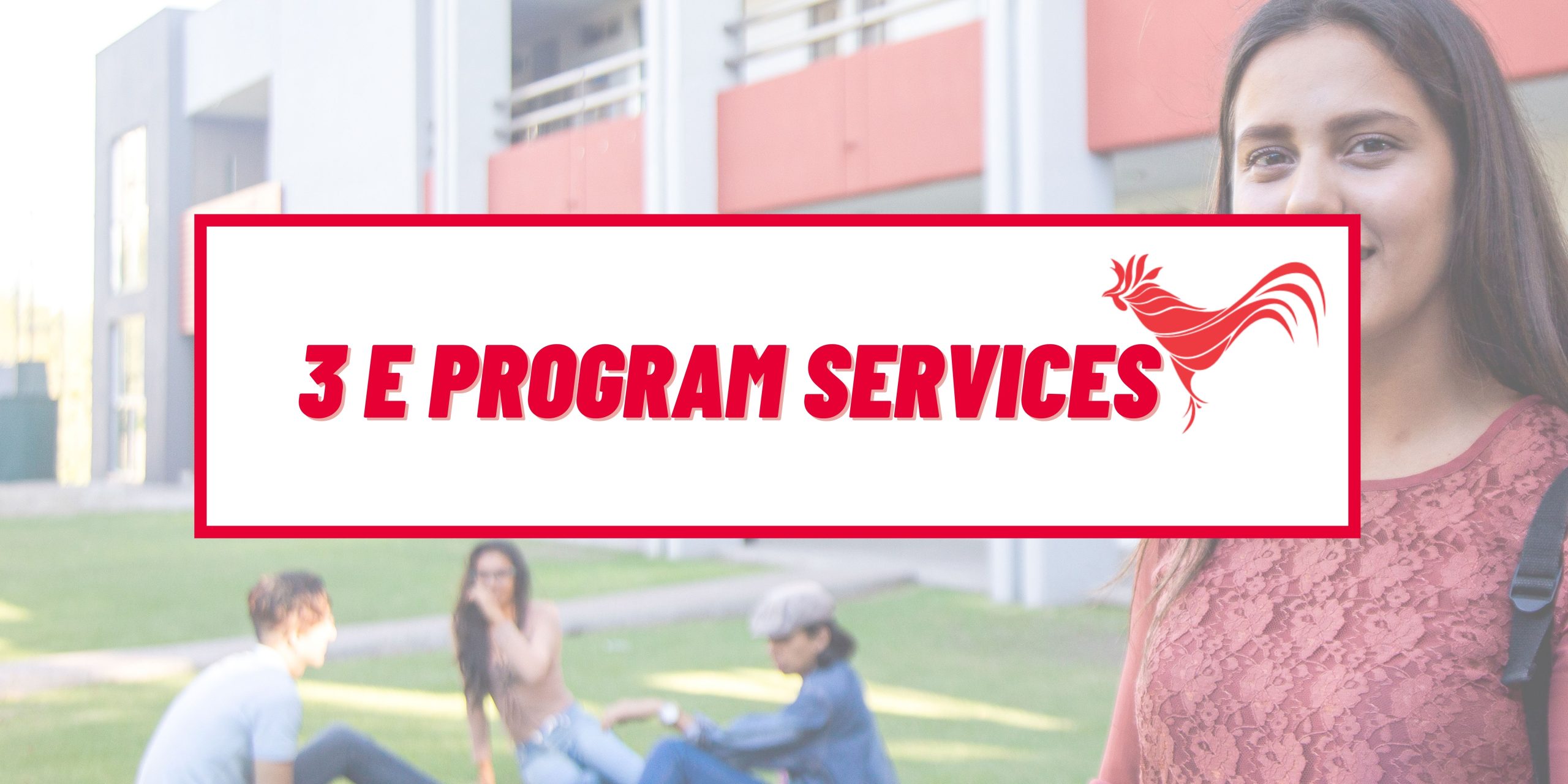 3E Program Services