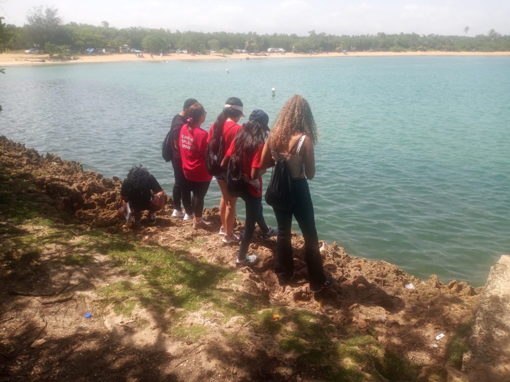 Environment in the Vacia Talega beach