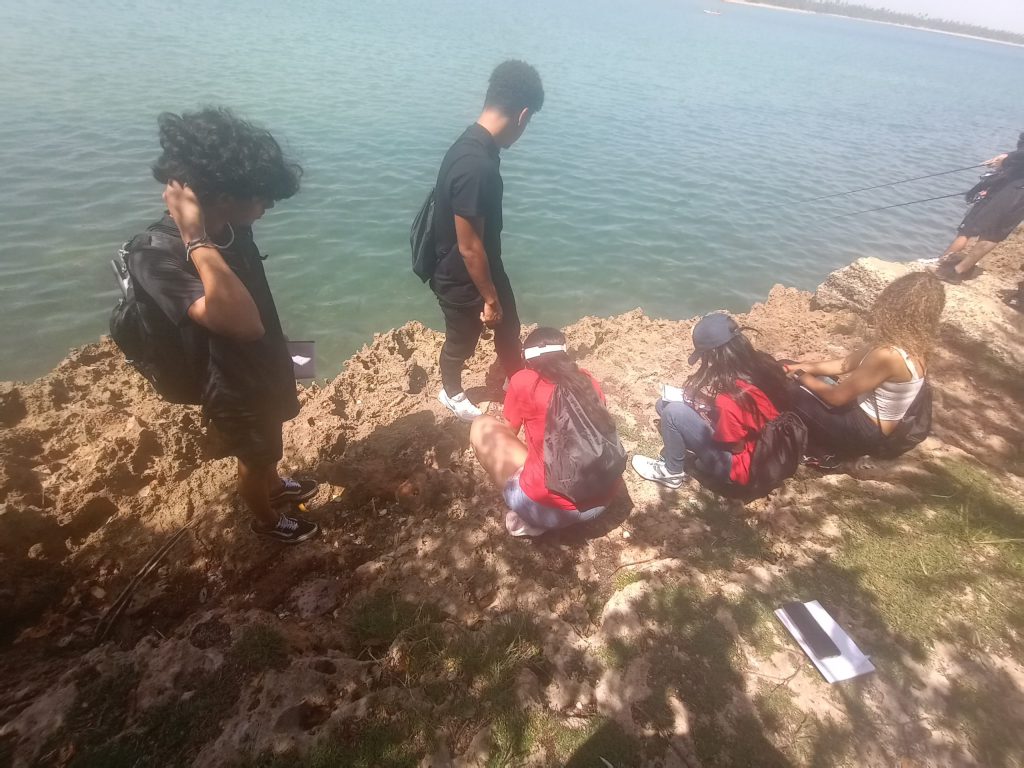 2023 second picture of participants exploring the land environment in the beach