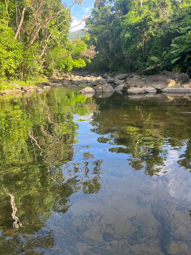 Landscape of a river