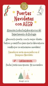 Puertas Navidenas Promo