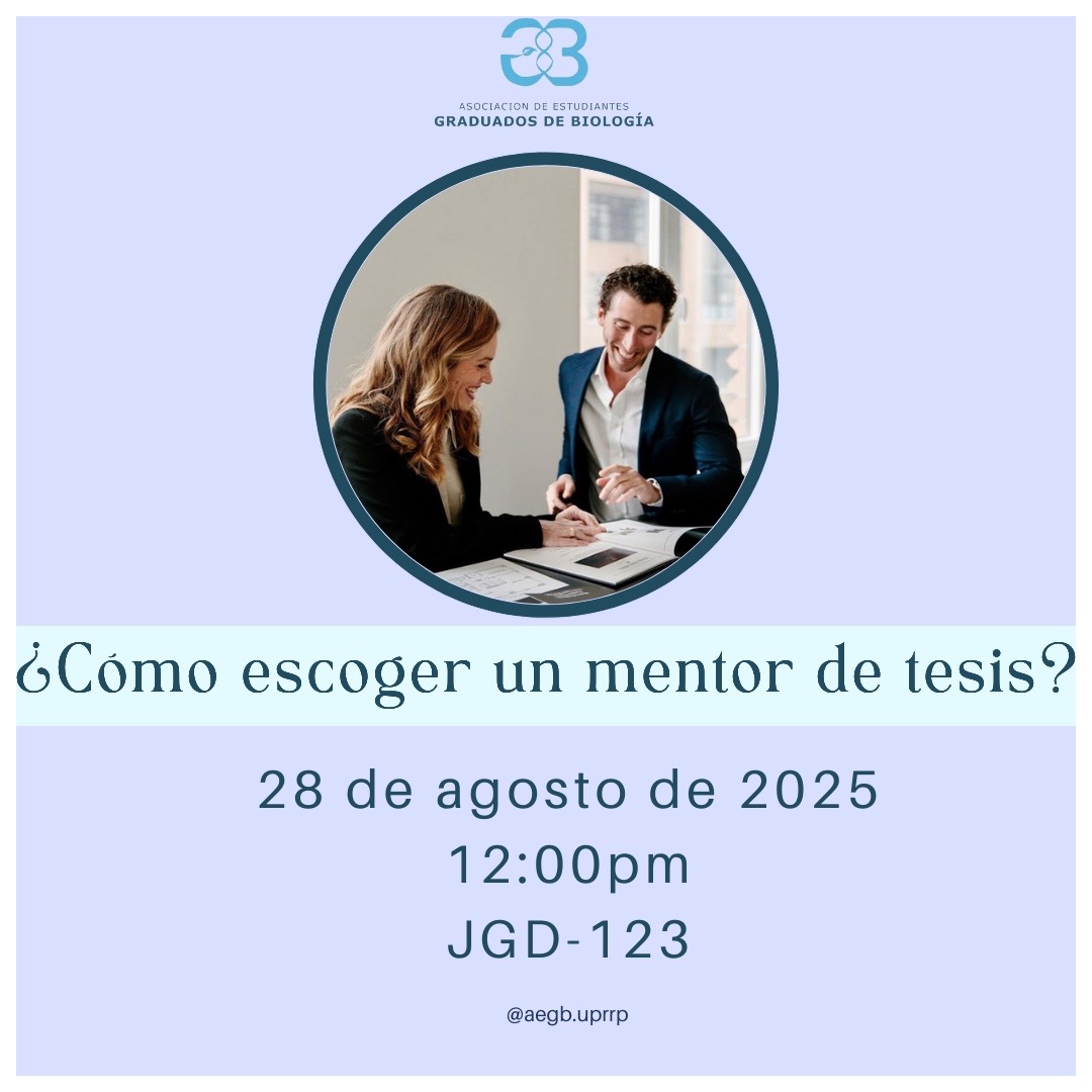 Mentor Tesis