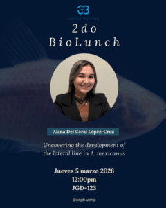 “Uncovering the development of the lateral line in A. mexicanus”.