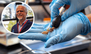 Portada-JGA-PepinodeMar