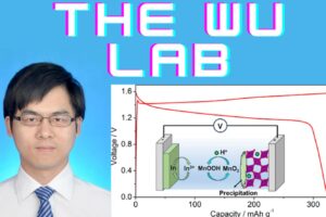 The Wu Lab The Wu Lab