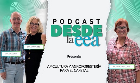 Noticia 2